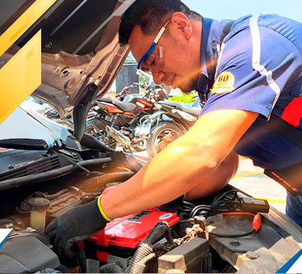 personal capacitado lth con servicio a domicilio